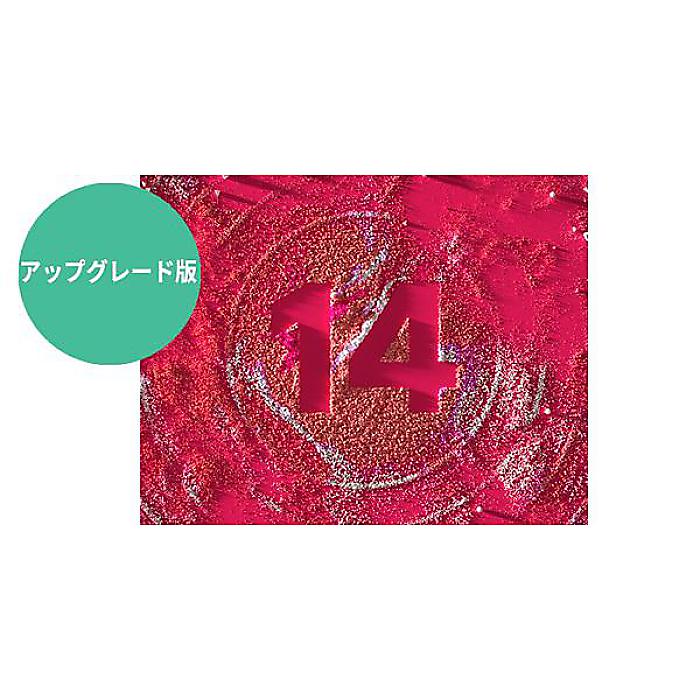 Native Instruments ( ネイティブインストゥルメンツ ) / KOMPLETE 14 STANDARD Upgrade for Collections パッケージ版