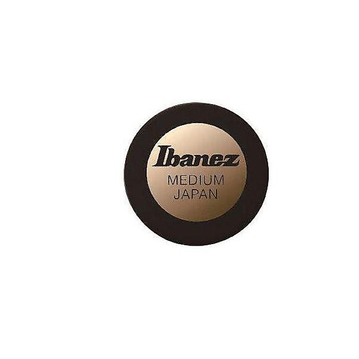 Ibanez ( アイバニーズ ) / PA1M Black