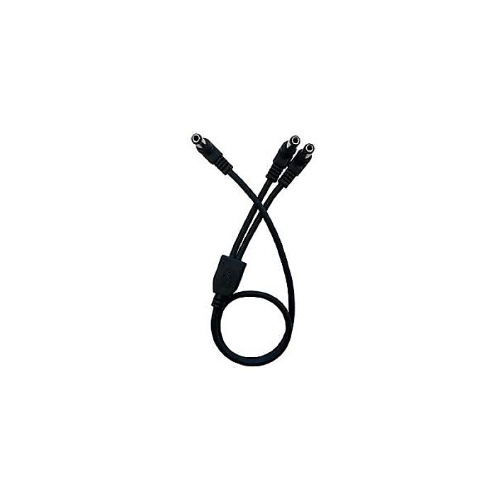 CUSTOM AUDIO JAPAN ( カスタムオーディオジャパン ) / Current Doubler Cable