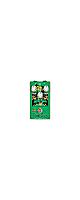 EARTHQUAKER DEVICES ( �����������������ǥХ����� )  / Brain Dead Ghost Echo �ӥ�ơ�����С���