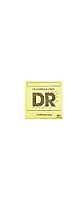 DR ( �ǥ��������� )  / H-25 LO-RIDER