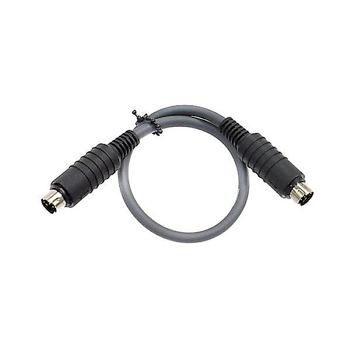 CUSTOM AUDIO JAPAN ( カスタムオーディオジャパン ) / Link Cable L&L30