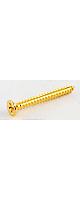 ALLPARTS ( ������ѡ��� )  / GS-0008-B02 Bulk Pack of 100 Gold Humbucking Ring Screws
