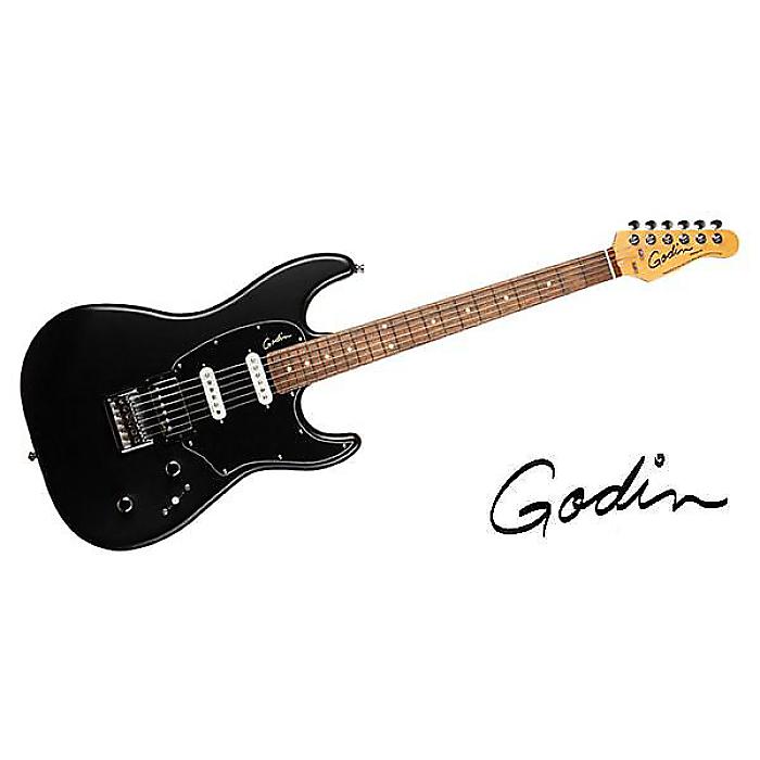 GODIN GUITAR ( ゴダンギター ) / SESSION HT MATTE BLACK RN