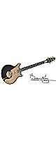 BRIAN MAY GUITARS ( �֥饤����ᥤ�������� )  / Black Special