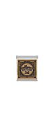 ERNIE BALL ( �����ˡ����ܡ��� )  / .036 EARTHWOOD 80/20 BRONZE