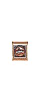 ERNIE BALL ( �����ˡ����ܡ��� )  / Custom Medium Earthwood Phosphor Bronze Acoustic Guitar Stri