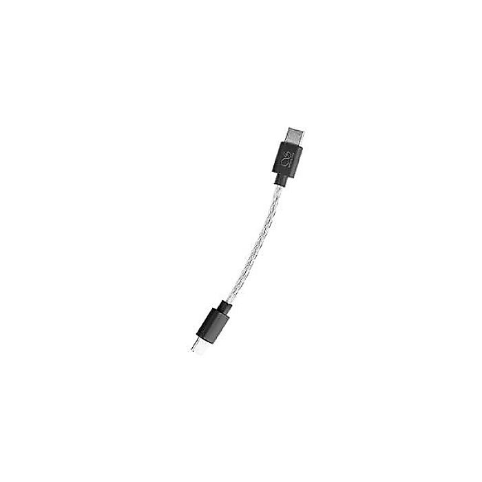 Shanling ( シャンリン ) / L3 USB-C to USB-C OTGケーブル L3-C-C