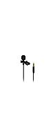BEHRINGER ( �٥�󥬡� )  / BC LAV