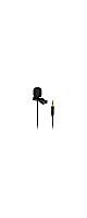 BEHRINGER ( �٥�󥬡� )  / BC LAV GO