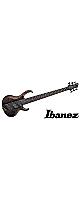 Ibanez ( �����Хˡ��� )  / BTB806MS-TGF