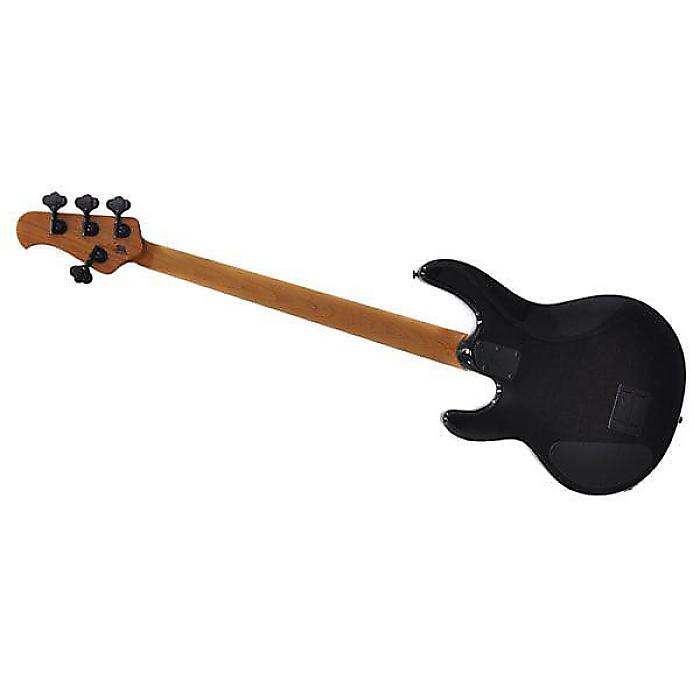 MUSICMAN ( ミュージックマン ) ／ StingRay Special HH - Black