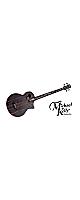 Michael Kelly Guitars ( �ޥ����륱�꡼�������� )  / Act Ele Bass Dragonfly 4 Forte Port Java Ebony Fretless