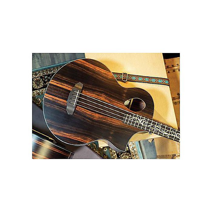 Michael Kelly Guitars ( マイケルケリーギターズ ) ／ Act Ele Bass