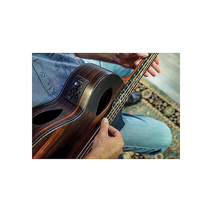 Michael Kelly Guitars ( マイケルケリーギターズ ) ／ Act Ele Bass