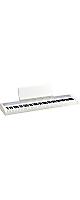 Korg(���륰) / B2+ WHITE - �Żҥԥ��� 88�� - ��2025ǯ6��22��ȯ���