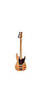 Godin(������) / Passion RG-4 Swamp Ash Bass MN / ���쥭�١���