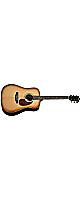 ����ͽ����բ���Headway(�إåɥ�����) / HD-Essential ASB (Amber Sunburst�� ���������ƥ��å������� ������ [���եȥ�������°] [���ݥå�������ǥ�]