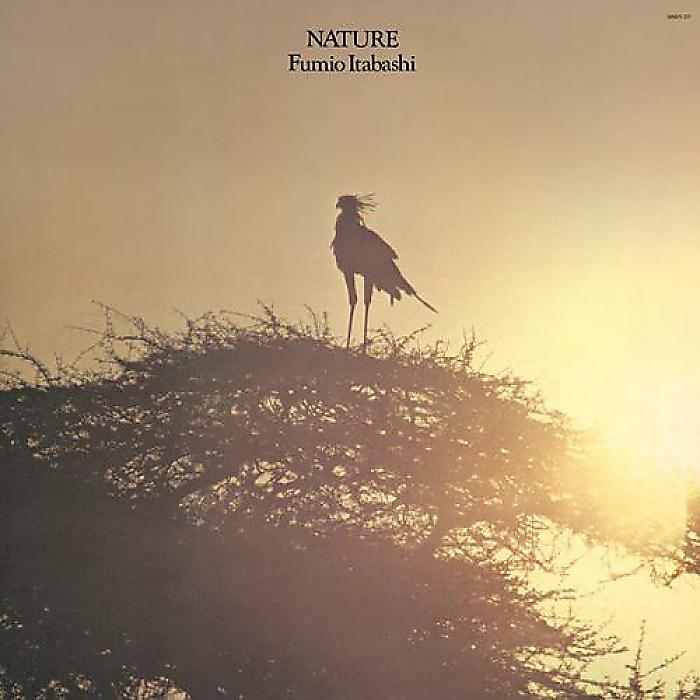 板橋文夫 - Nature(LP) /