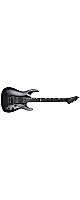 E-II(�����ġ�) / HORIZON FR-II (Gun Metallic Black) ���쥭�������ڼ���������10�����1ǯ��