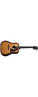 Headway(�إåɥ�����) / HJ-5080SE ASB (Amber Sunburst) ���쥢�� [�����Хå���°]