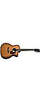 Headway(�إåɥ�����) / HOC-V090SE ASB (Amber Sunburst) ���쥢�� JT���꡼�� [�����Хå���°]