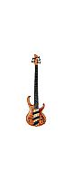 Ibanez(�����Хˡ���) / BTB805MS-FNL ���쥭�١��� 5�� [�ϡ��ɥ����륱������°] [SPOT��ǥ�] 