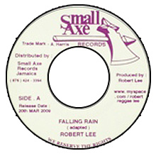 Robert Lee / Falling rain