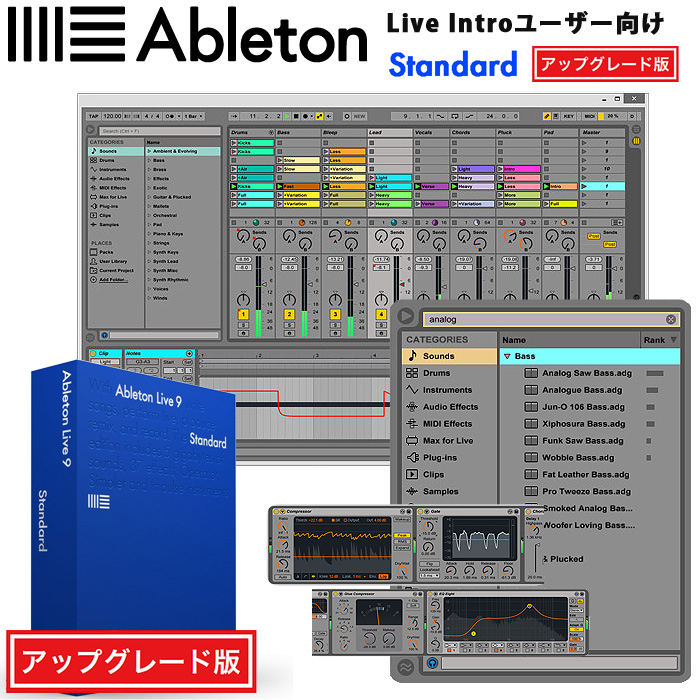 Ableton(エイブルトン) / Live9 Standard UG from Intro 【Live Introユーザー向けアップグレード版】