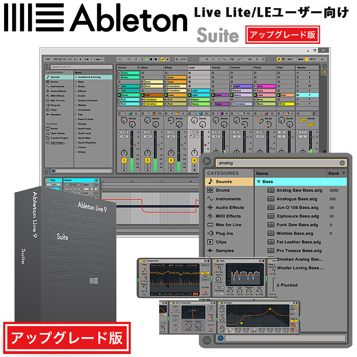 Ableton(エイブルトン) / Live9 Suite UG from Lite 【Live Lite/LEユーザー向けアップグレード版】
