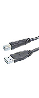Belkin(٥륭) / USB 2.0 A/B Cable (16 feet/5 meters) F3U133-16 USB֥