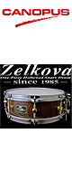 CANOPUS(Υץ) / Zelkova Snare Drum 14ɡ5 (HS-1450)  - ͥ -