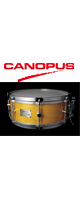 CANOPUS(Υץ) / 1ply Soft Maple Snare Drum SSSM1455ڥե˥å/顼ġ ڥͥХåɲòǽ- ͥ-