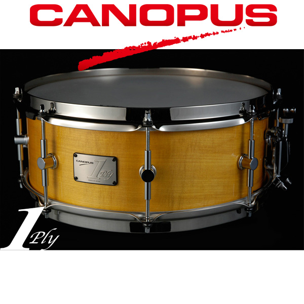 CANOPUS(カノウプス) / 1ply Soft Maple Brass Straight Hoop Model SSSM1455SH 【スネアバッグ追加可能】-スネア -