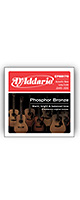 D'Addario(ꥪ) / EPBB170 Phosphor Bronze Acoustic Bass - ƥå ١ -