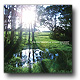 ShigetakeAo / Forest��River For Criative [CD]