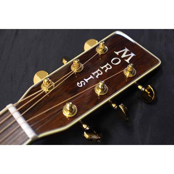 新品!! Morris(モーリス) ／ M-101 SP2 アコースティックギター