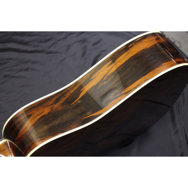 新品!! Morris(モーリス) ／ M-101 SP2 アコースティックギター