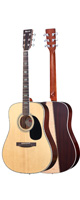 Morris(モーリス) / W-701 NAT - アコースティックギター - 120本限定生産 限定モデル