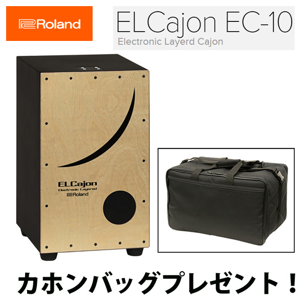 Roland ローランド カホン Electronic Layered Cajon EC-10
