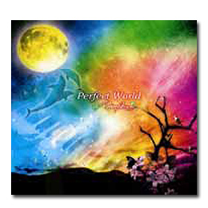 AKINOBU / Perfect World