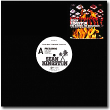Sean Kingston / Fire Burning / Power Of Money