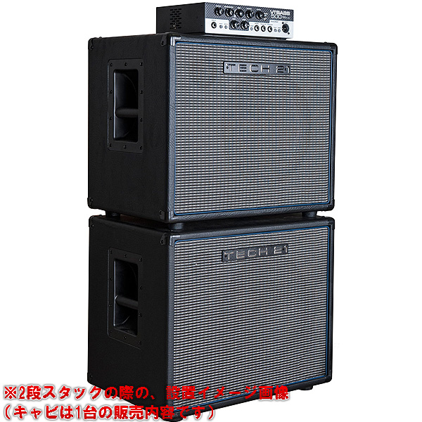 TECH21(テック21) ／ SansAmp : VT Bass 500ヘッドと B112-VT