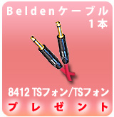 [P] Belden 8412 TSフォン/TSフォン 2M [1本]