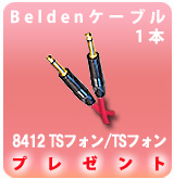 [P] Belden 8412 TS�ե���/TS�ե��� 2M [1��]