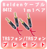 [P] Belden 8412TRS/TRS1mڥ