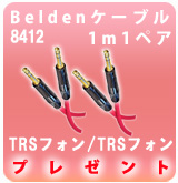 [P] Belden 8412TRS/TRS1m�ڥ�