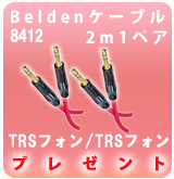 [P] Belden 8412TRS/TRS2mペア
