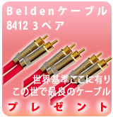 Belden�����֥롡3�ڥ��ץ쥼��� �ݥå�