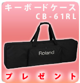 ��P��CB-61RL�ץ쥼���